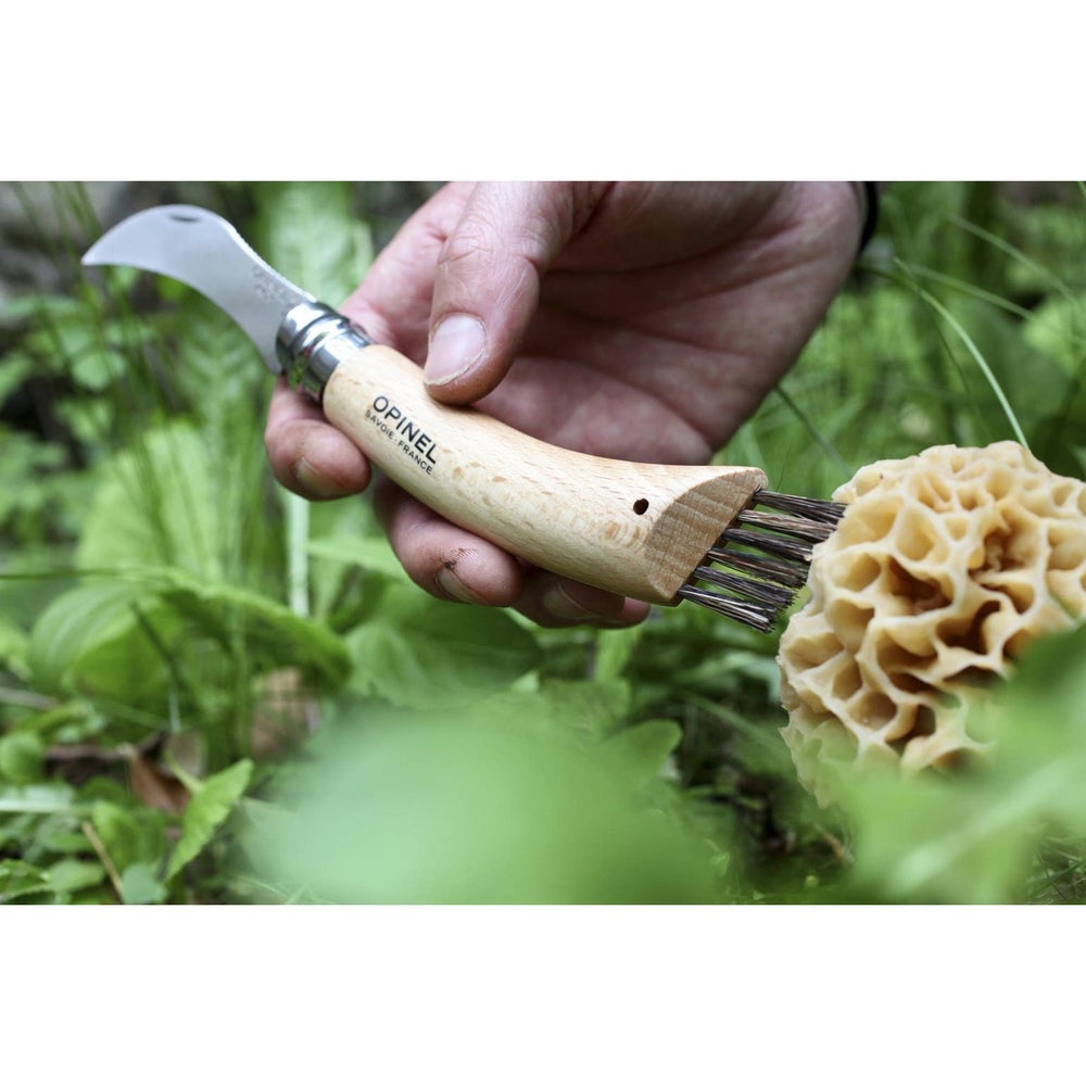 Opinel N°8 Mushroom Knife with Brush